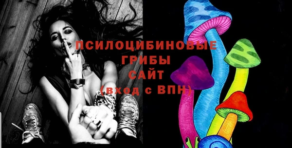 герыч Алексин